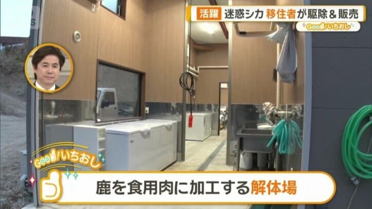 鹿を食用肉に加工する解体場