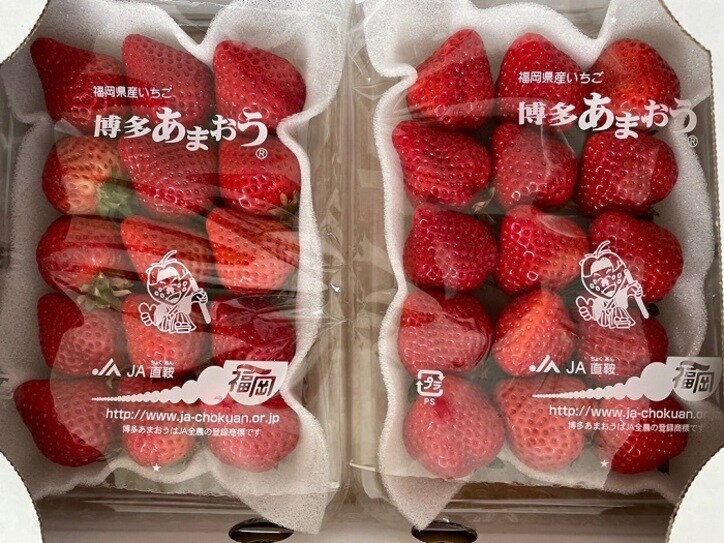  假屋崎省吾、どっさり届いたふるさと納税の返礼品「3箱6パック」 