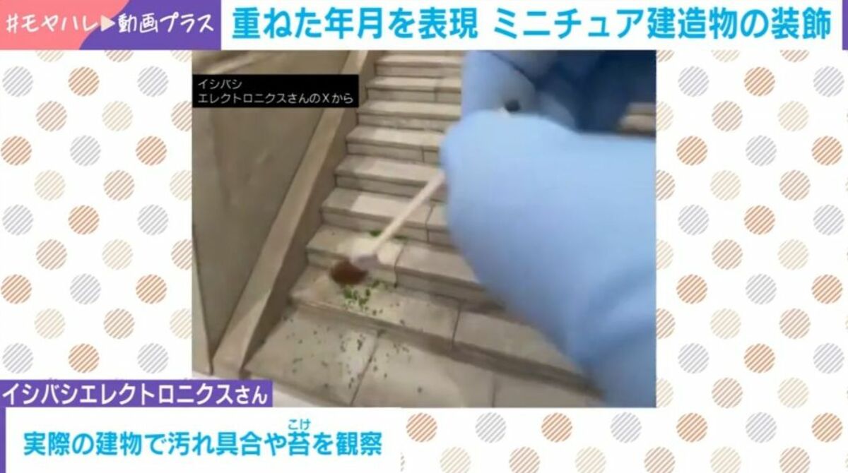 苔を楽しむ新しい視点