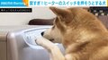 賢すぎる!! 寒い日にヒーターのスイッチを押そうとする犬の姿に「学習能力すごいねー」「優秀過ぎます」と絶賛の声