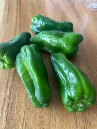 山本圭壱『スーパーにいきまして』