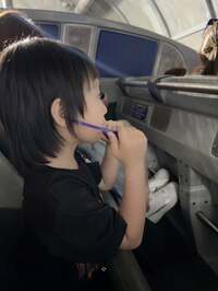 アレクサンダー『アトラクションが壊れて』