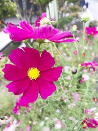 藤原紀香『秋の装い』