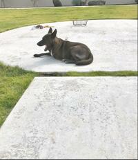 坂上忍が原稿執筆について校閲・編集担当らに感謝「ほんと、ありがとうございます」