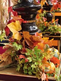 山田美保子『久々に『サンジャポ』から』