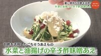 柳原尚之の「水菜と油揚げの辛子酢味噌あえ」『おかずのクッキング』