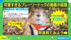 「くっつき虫、取って！」つぶらな瞳で訴えるプレーリードッグ 視聴者の心を掴む“愛くるしい立ち姿”が380万回再生