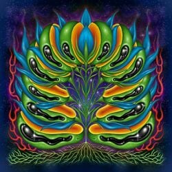 ユニット「ハンチング」のメンバーGenta、ソロ名義2作目となるSingle『Cosmic Masquerade』を11月19日(水)にリリース。