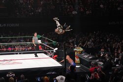 どうなってるの？ “超ハイフライ男”の衝撃「630°」大回転アクロバティック空中技に会場騒然「ヒヤヒヤする」「これは回りすぎ」