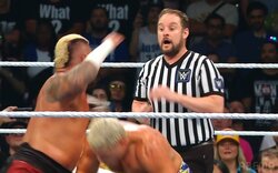 2度の誤爆でレフェリーが完全失神！ 露骨な試合妨害に「確信犯」「可哀想すぎる」非難殺到