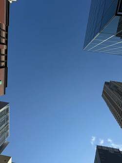  堀ちえみ、声の不調で検査を受けたことを告白「カサつきっぽいのが、とても気になっていた」 