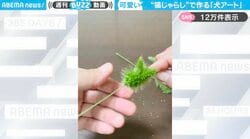 「作ってみたい！」猫じゃらしで作る、“犬”の制作過程の動画に「犬とも猫とも呼ばれてる草で草」「スゴイかわいい！」と反響