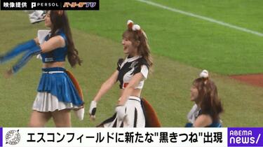 セクシーすぎる新コスチュームがたまらない…！ “ダブルきつね