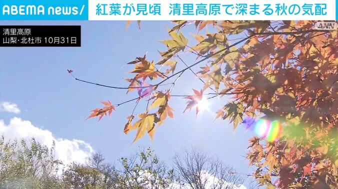 清里高原