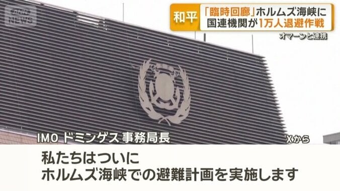IMO　ドミンゲス事務局長
