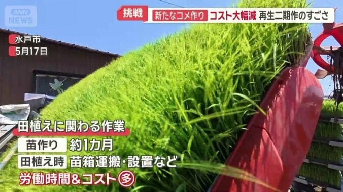 田植えは労働時間とコストがかかる