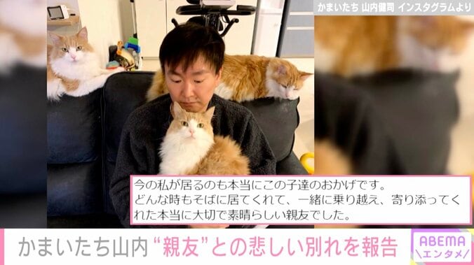 かまいたち山内、急性腎不全で愛猫2匹が亡くなったことを報告「本当に大切で素晴らしい親友でした」 1枚目