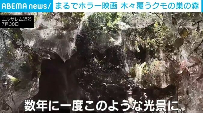 エルサレム近郊