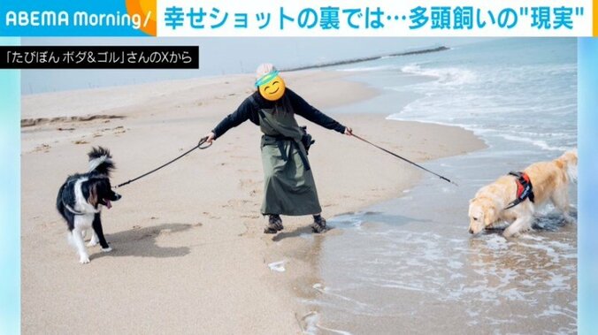 多頭飼いの“現実”