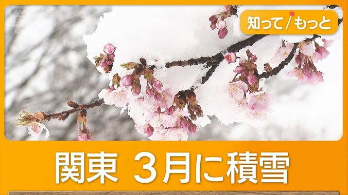 東京に3月の雪 関東でも積雪　全国で事故続出　富士山遭難で知事が捜索費用有料化訴え 1枚目