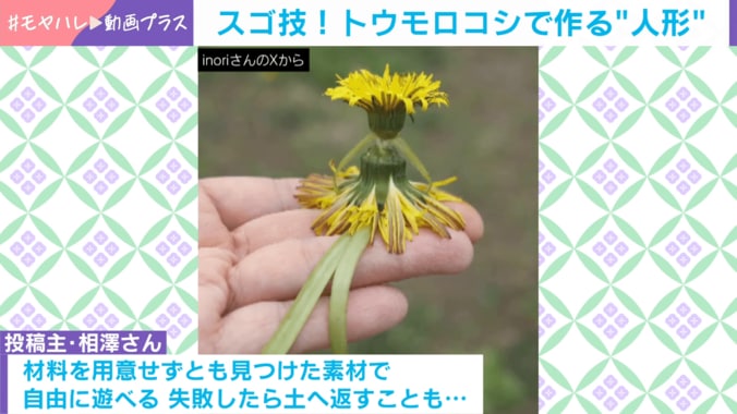 たんぽぽで作った人形