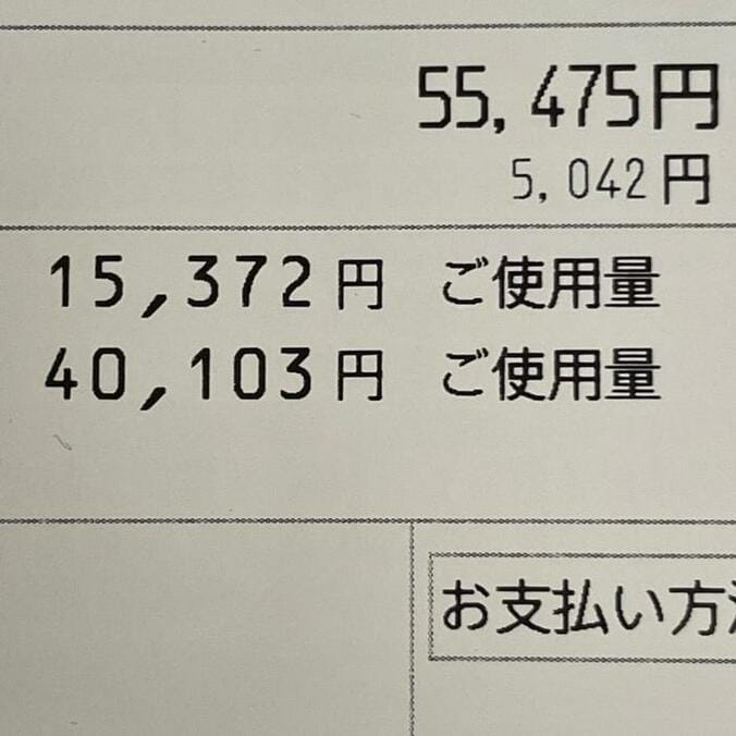  料理研究家・桜井奈々、過去最高に高かった電気代「予想を超える高さ」「思わず声が出ました」の声  1枚目