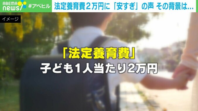 「法定養育費」子ども1人当たり2万円