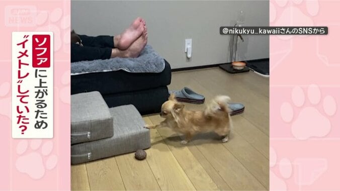 イメトレしていたの？