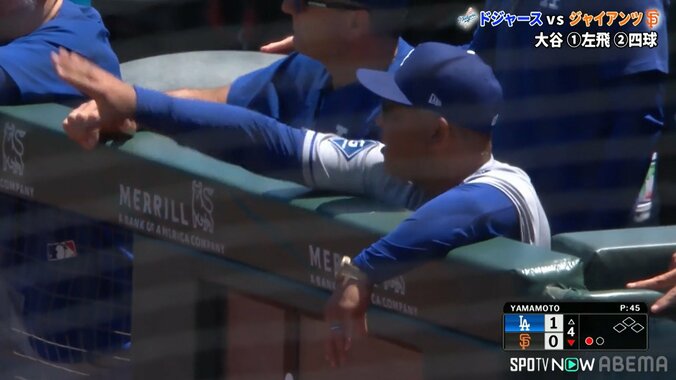 【写真・画像】　2枚目