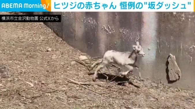 アメちゃん