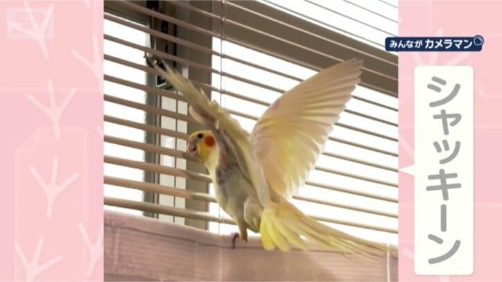 また決めポーズ！！