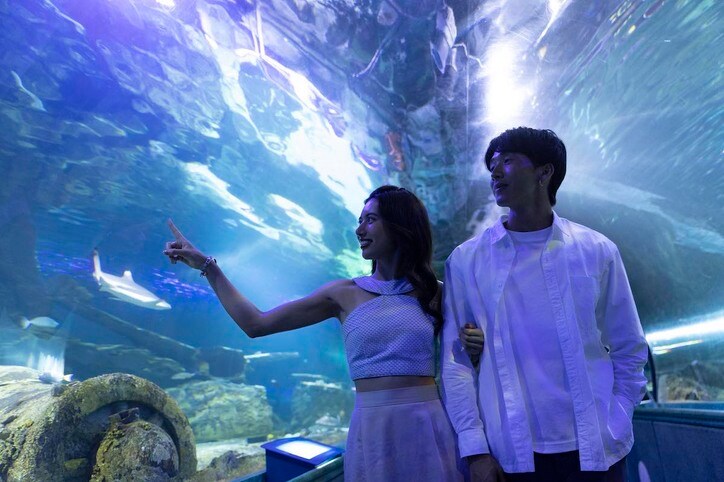 ラブラブな空気から一転、号泣…女に告げられた男の残酷な本音 他の女も「もっと知っていきたい」『シャッフルアイランド Season2』