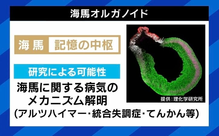 【写真・画像】 4枚目