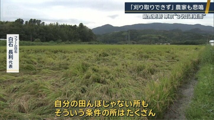 ファーム白石 白石長利代表