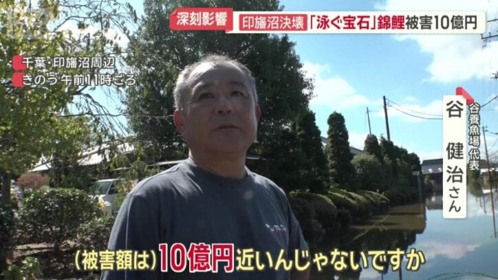 谷養魚場代表　谷健治さん