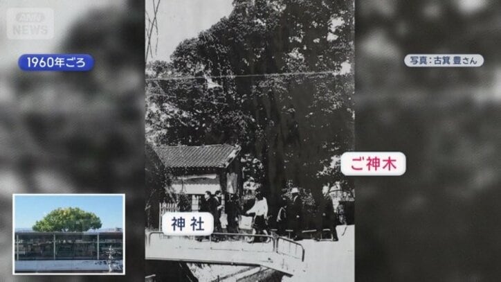 約70年前の写真