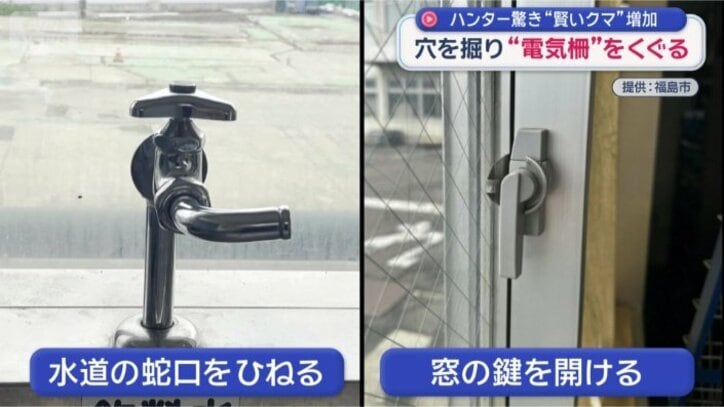 市の職員が目撃