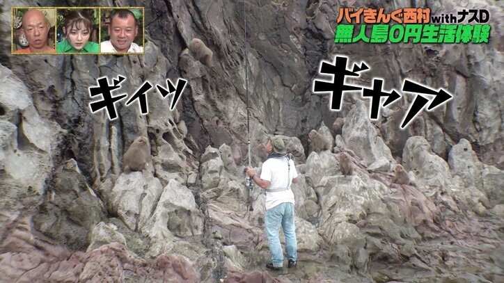 バイきんぐ西村を猿が挑発？ その小馬鹿にしているような表情に小峠英二「俺もムカついてきた！」