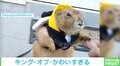 癒されまくり！今年話題を集めた小動物の可愛い＆爆笑投稿5選