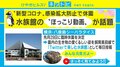 飼育員目線で生き物たちの日常をのぞき見！ シーパラダイスで「Twitterで楽しむ水族館」開催中