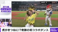【映像】虎がきつねに!?奇跡の初コラボダンス