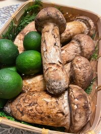 渡辺徹『松茸づくし』