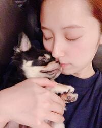 元乃木坂46衛藤美彩、愛犬と一緒に眠る姿にファン悶絶「穏やかな顔に癒やされまくりです」