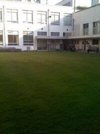 吉本芸人、強さの理由「ウチの事務所の若手が勝てるわけない」