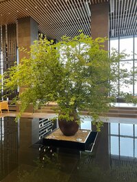 キャシー中島『子ども達からのプレゼント』