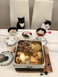 藤あや子『昨日の晩ごはん』