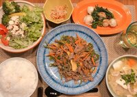 本田朋子『大人ごはん子供ごはん』