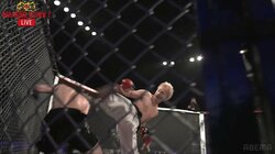 【画像】ボディに突き刺さったバックスピンキック