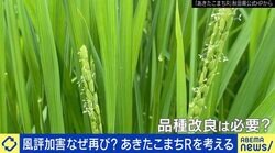 風評加害なぜ再び？科学的な情報どう伝える？ 品種改良された「あきたこまちR」を考える 専門家「放射線育種の仕組みが勘違いされている」 ひろゆき氏「恐怖をばら撒き支持者を増やすインフルエンサーが悪い」