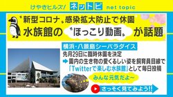 飼育員目線で生き物たちの日常をのぞき見！ シーパラダイスで「Twitterで楽しむ水族館」開催中